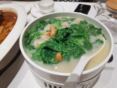鸡汤苋菜-阿五黄河大鲤鱼(海尚店)