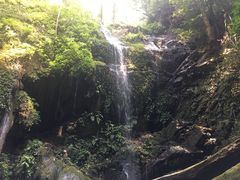 -莫里热带雨林景区