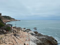 -广东惠东海龟国家级自然保护区