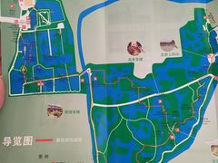 -中国扬子鳄村