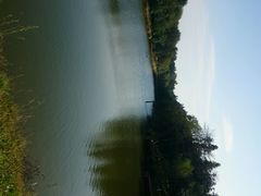 android_upload_pic-象山森林公园