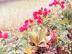 -苏州河梦清园环保主题公园