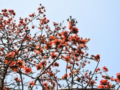 -广州市白云山风景名胜区