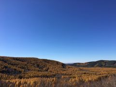 -塞罕坝国家级自然保护区