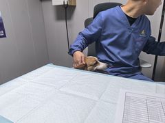 -半岛宠物医院24小时(科华中路店)