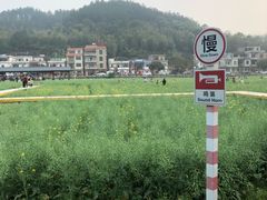 -红山村