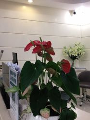 -深圳阳光医疗美容医院·旗舰店