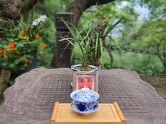 -都江堰景区