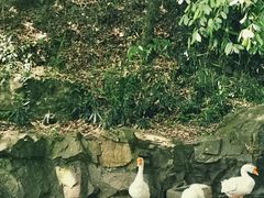 -兰亭风景区