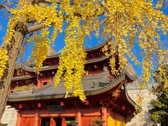 -上海东林寺(金山区)