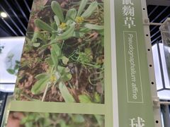 -同里国家湿地公园