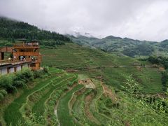 -紫鹊界梯田景区