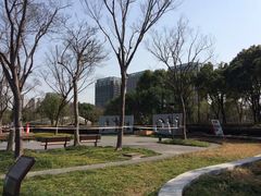 -南翔镇银翔湖公园