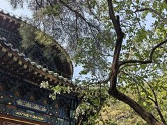 -潭柘寺景区