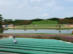 -迪茵湖田家舍生态农场