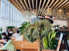 -Seesaw Coffee(朝阳大悦城店)