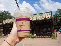 -奥兰多迪士尼动物王国乐园