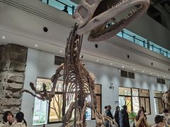 -自贡恐龙博物馆