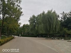 -燕郊植物园