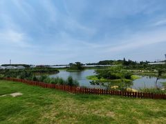 -美家乐农庄·露营·团建(大治路店)