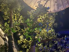 -绿茶餐厅(燕郊永旺店)