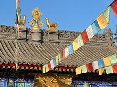 -西安市广仁寺