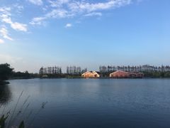 -上海长兴岛郊野公园