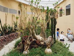 -正佳雨林生态植物园