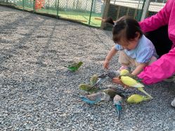 -萌宠亲子动物乐园(槐房万达店)