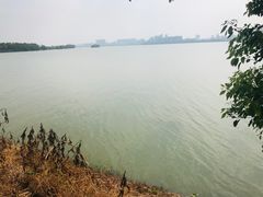 -艾溪湖湿地公园