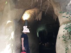 -南山植物园