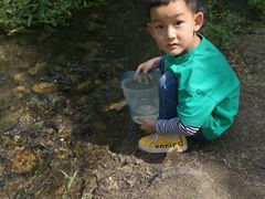 -白水寺森林公园