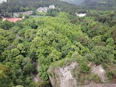 -窦圌山风景区