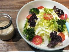 日式麻酱蔬菜沙拉-小雅木姜子烤鸡·贵州菜(鸿通城店)