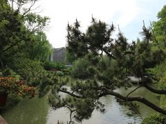-上海醉白池公园