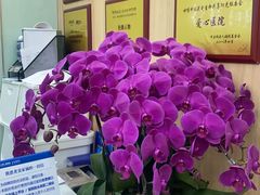 -上海仁爱医院口腔科 · 种植