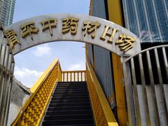 -清平中药材专业市场