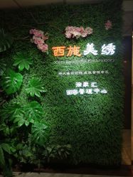 -西施无菌半永久纹绣眉眼影唇轻增发纹发际线