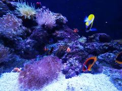 -成都浩海立方海洋公园