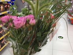 -家乐福(古北店)