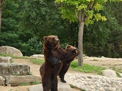 -北京野生动物园