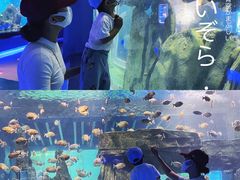 -石家庄海洋公园