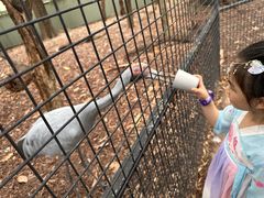 -费瑟代尔野生动物园