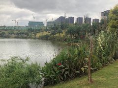 -枫香湖儿童公园