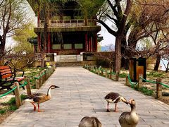 -颐和园-景明楼