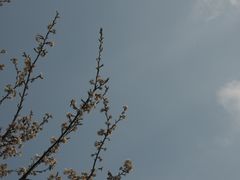 -保利石象湖景区