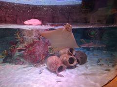 -沈阳海洋探索中心