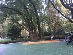 -徐家汇源景区-衡山公园