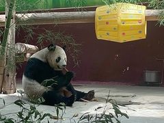 -杭州野生动物世界
