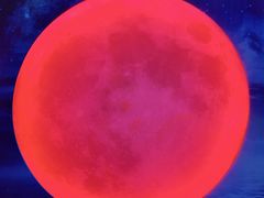 -天津梵高星空艺术馆(天河城旗舰店)